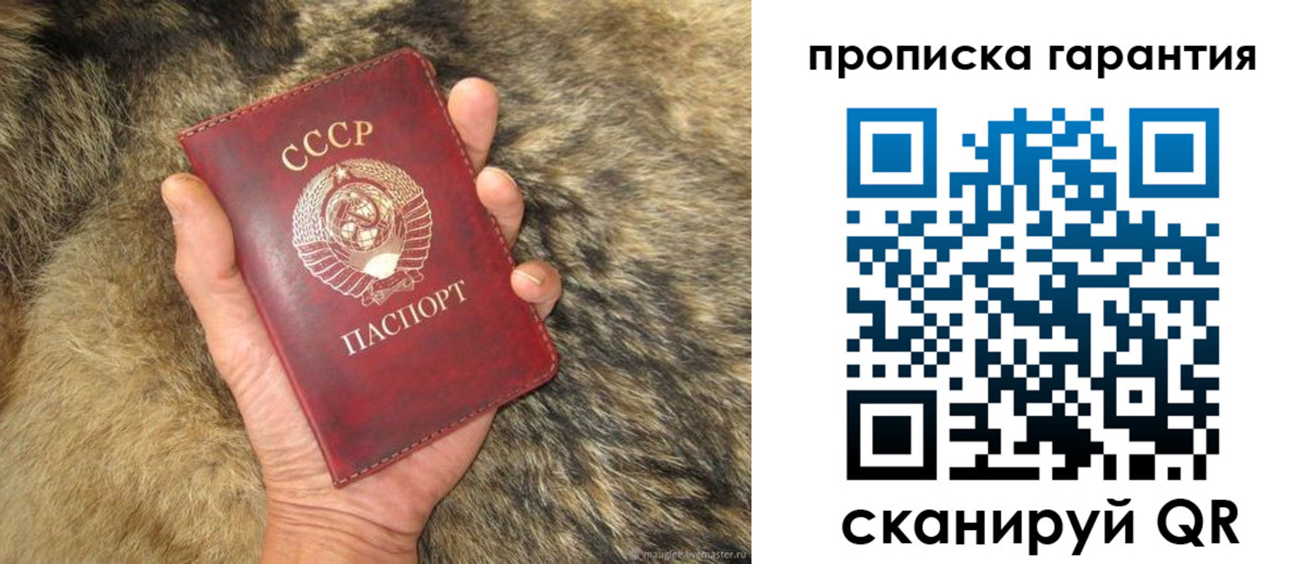 временная регистрация гарантия в Артёмовском